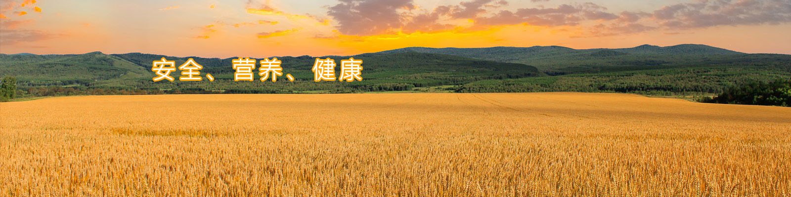 8188www威尼斯-8188www威尼斯正式版下载V4.6.7